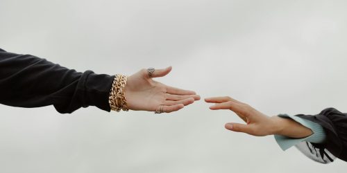 pexels-photo-10667753